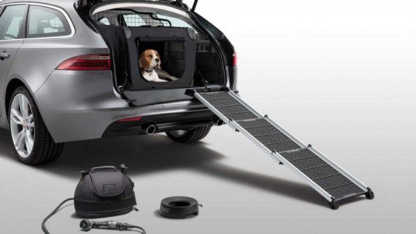 Jaguar представил полезные аксессуары для перевозки домашних животных (ФОТО)