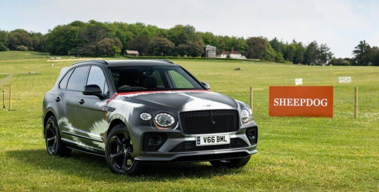 Розкішний кросовер Bentley перетворили на ідеальне авто для пастухів