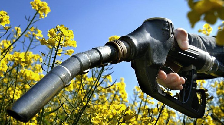 В Україні почнуть виробляти паливо з олії