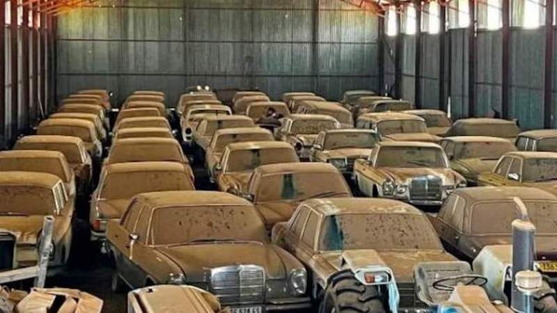 В Південній Африці знайшли покинуту колекцію з 240 раритетних автомобілів (ФОТО)