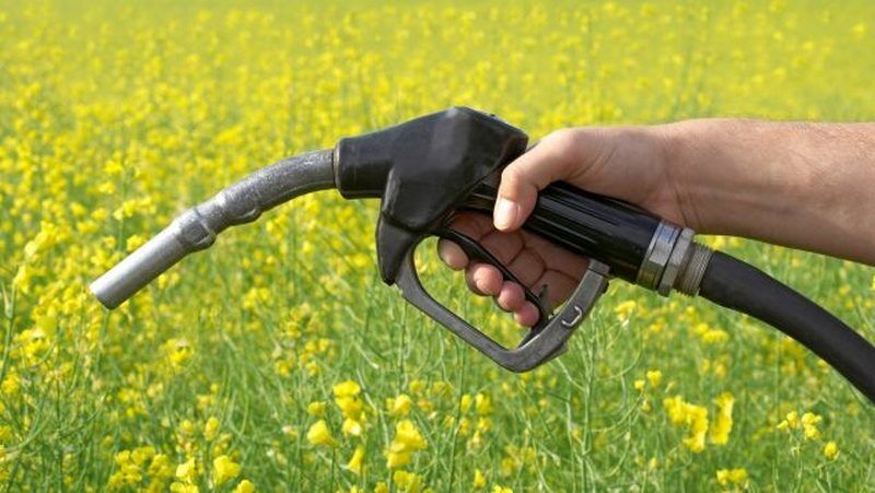 В Україні дозволили “бодяжити” бензин біоетанолом: це вб’є старі авто українців