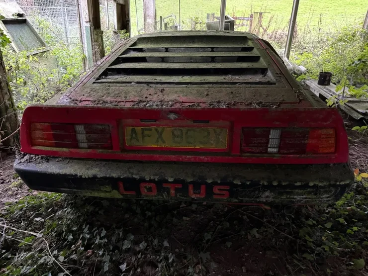 Як у Джеймса Бонда: знаменитий британський суперкар 80-х простояв 30 років у сараї (ФОТО)